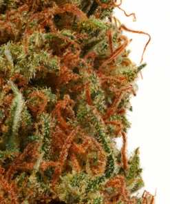 Wedding Cake THC-Blüte