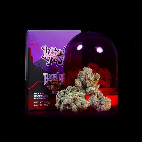 Wizard Trees: WIZARD FUEL