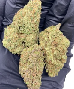 Wedding Cake THC-Blüte