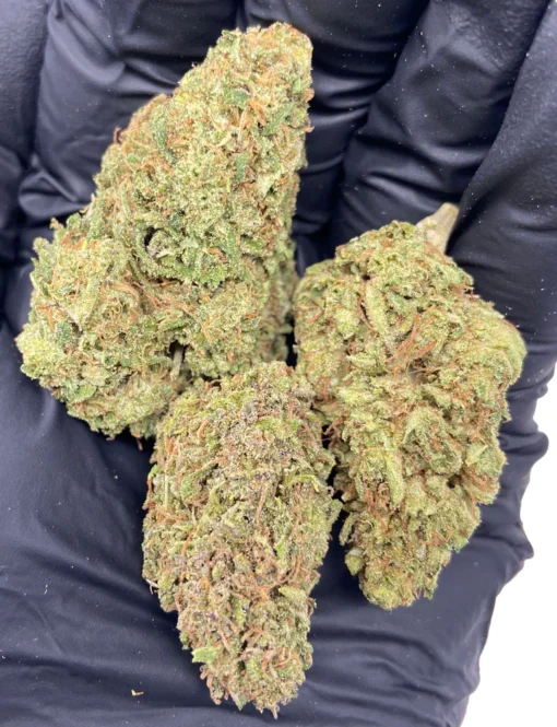 Wedding Cake THC-Blüte